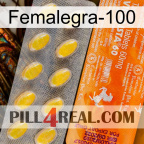 Femalegra-100 new05
